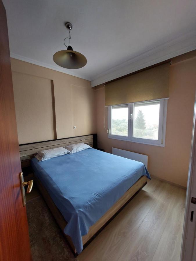 Bright View Apartment PalaiónTsiflíkion Zewnętrze zdjęcie